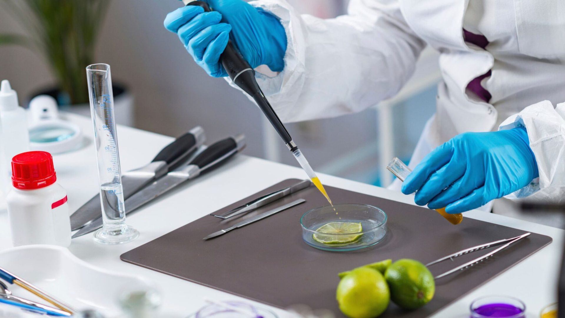 foodsensitivityintolerance